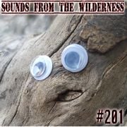 #201 Sounds from the wilderness 22 April 2026