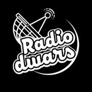 Peter Laser - Radio Dwars