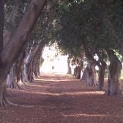 warm spanish for cold nighit- pt-3- PEACEtimeRADIO.