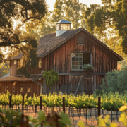 Why Bloom Ranch Is A Haven For Health And Sustainability - Audio Blog