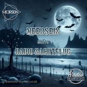 Radio Nachtflug 01:11:2024 Meersein meets RNF