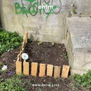 EHFM Mornings: skotti - 25.04.26