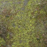 Stranger Lights / 29th December 2023