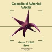 Candied World Wide (06.07.2023)