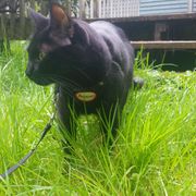 M3M0RYL34K 00000069 2024.06.17