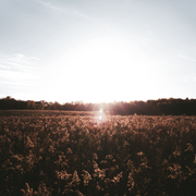 chill out mix