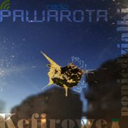 Kefirowe poniedziałki - Wczucior #112/1585 PAWAROTA Radio - 07.04.202