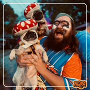 Shrymp Church w/ Frank Hurricane #4