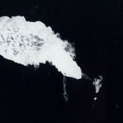 A Fist in the Face of God presents: Midnite Madness - CCIV - Victims of Mad... - 10th September 2025