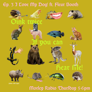 Oink Twice if You Can Hear Me - Episode 3