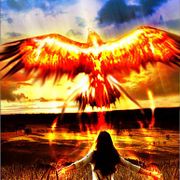 Be As The Phoenix