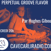Perpetual Groove Flavor S1 Ep 22 par Hughes Giboulay