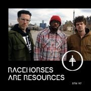 STM 117 - Racehorses Are Resources