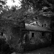 Núvol de fum 479 | rusc