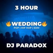 NOT Your Typical Wedding DJ Set (3 hours)