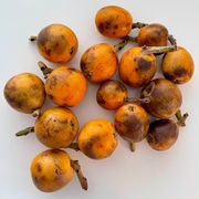 Dissonant #34 w/ Katrien Schuermans