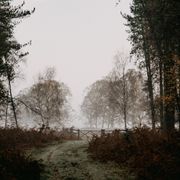 Folk Show: Episode 89 (A Winter Mix)