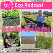The Local Eco Show - 8th August 2025