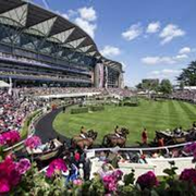 The Downlands Racing Show with Chris Carter Brennan - 9th May 2025