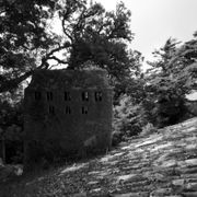 Núvol de fum 480 | ascendent