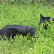 M3M0RYL34K 00000068 2024.06.16