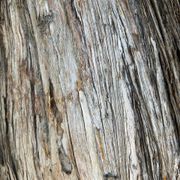 The Institute of Spectra-Sonic Sound 8.10.24