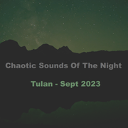 Chaotic Sounds Of The Night - Sept 2023