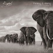 Thinking & Driving (Extended) (2015)