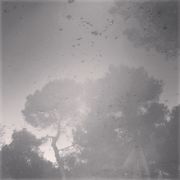 núvol de fum 451 | matí boirós