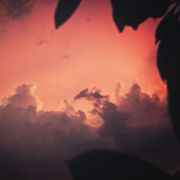 Hushed Whispers by Roquen Lómë