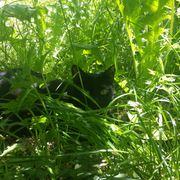 M3M0RYL34K 00000073 2024.07.14