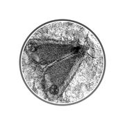 ䷀ WCR ䷀ DARK TRAIN ䷀ FIGGY HOBBIN ䷀ RECIPE XIX ䷀ KATE BOSWORTH ䷀ 9 JUNE 2025 ䷀