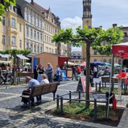 Wahlumfrage in Zittau am 29. Mai 2024
