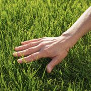 Touch Grass Vinyl Mix