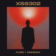 XSS302 | Cubo | Amnesia