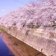 j pop mix 2000年前後　春