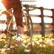 you never forget [bicycle day mix]
