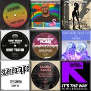 Assorted Flava Volume 6