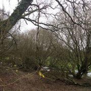 What's the Story Newton Abbot? Parks