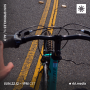 Sun Sprinkles - 22nd December 2024