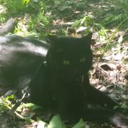 M3M0RYL34K 00000071 2024.06.30