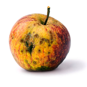 This Week with Penny  - 4th October 2024