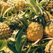 Eric M - EDM Club Mix