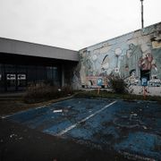 #555 - Szamár madár