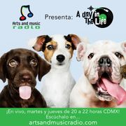 23 - Animales - A Day In The Life - 210720