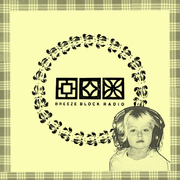 001 BRIDGING THE CRAP