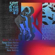 Spit in the Ocean #17