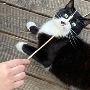 Squid: 13th July '23