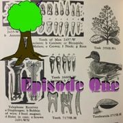 Wizard Tree Episode One