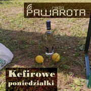 Kefirowe poniedziałki - Wczucior #79/1392 PAWAROTA Radio - 29.07.2024